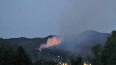Požar u Vrbanji, vatrogasci izašli na teren