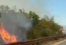 Stabilizovano stanje na požarištima u bilećkim selima nakon teške noći