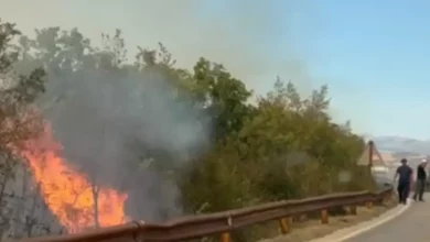 Stabilizovano stanje na požarištima u bilećkim selima nakon teške noći