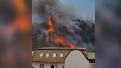 Drama na terenu: Širi se požar kod Konjica, vatra stigla do pruge i prijeti kućama