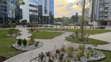 Novo blokovsko zelenilo u Ulici Prvog krajiškog korpusa