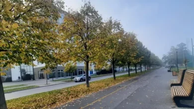 Vrijeme tokom jeseni donosi tople dane ali i rane jutarnje mrazeve