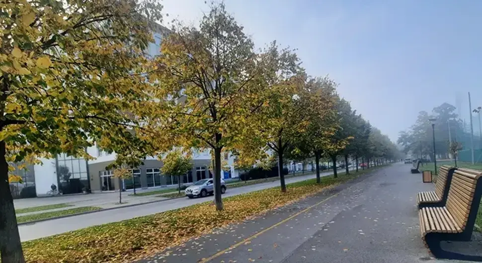 Vrijeme tokom jeseni donosi tople dane ali i rane jutarnje mrazeve