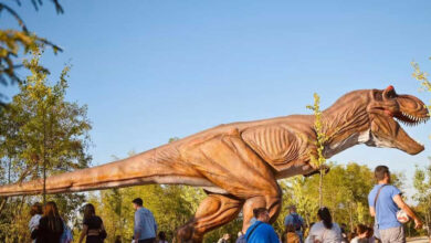 Dino-park u Krčmaricama privukao ogroman broj posjetilaca