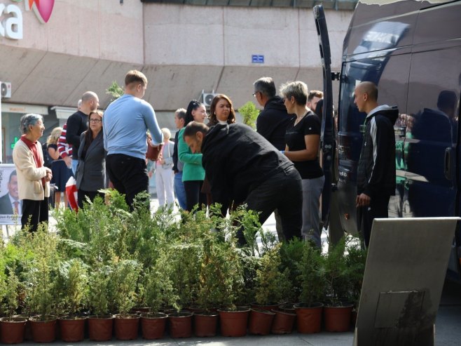 Akcija u Banjaluci: Podijeljene sadnice čempresa za ljepšu životnu sredinu