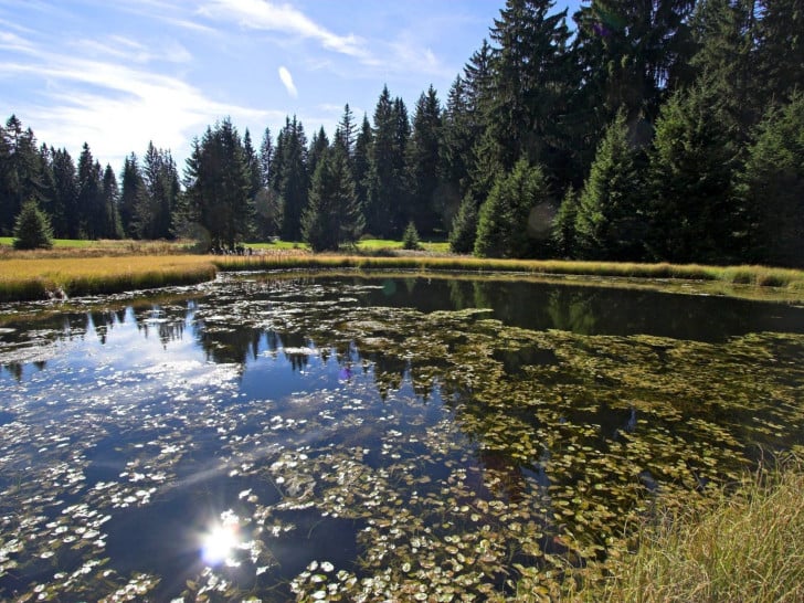 Dajićko jezero i tajne Golije: Predanja o svatovima i risu