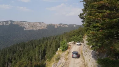 Zaštićena područja Srpske i Srbije spajaju se u cjelinu Tara - Drina