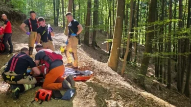 Jelko Kacin operisan nakon teškog pada tokom berbe gljiva