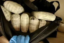 Zaplijenjeno više od 12 kilograma kokaina: Državljanin BiH pao u međunarodnoj akciji