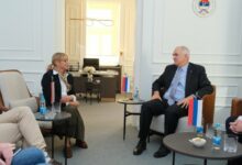 Dijalog i institucionalna saradnja u fokusu razgovora Trišić Babić i Holcapla
