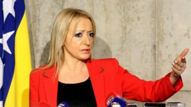 Burno u SDS-u: Pandurevićeva traži povlačenje odluke o Petroviću