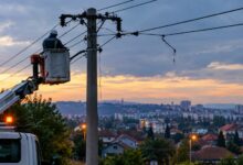Kvar na dalekovodu ostavio dio Lauša bez električne energije