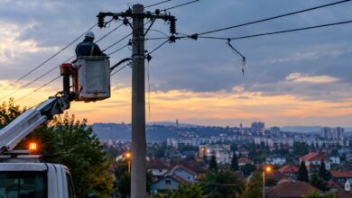Kvar na dalekovodu ostavio dio Lauša bez električne energije