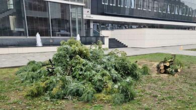 Rekonstrukcija drvoreda u Vidovdanskoj ulici: Posječeni kuglasti bagremi, nadležni najavljuju sadnju likvidambara