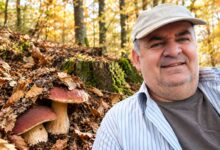 Potraga za šumskim blagom: Goran Đaković iz Stratinske o tajnama branja vrganja