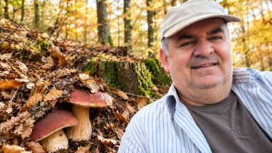Potraga za šumskim blagom: Goran Đaković iz Stratinske o tajnama branja vrganja