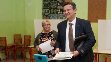 Kriza u SDS-u: Od velikih očekivanja do unutarstranačkog raskola