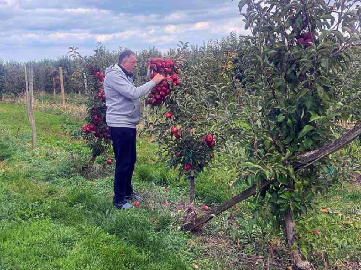 Milorad Dodik o simbolici jabuke: Kada navodnjavate, pobijedite sušu