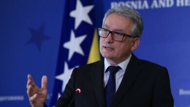 Zašto je resetovanje SDS-a nužno: Bosić o greškama opozicije