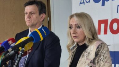 Kriza u SDS-u: Pandurevićeva ukazala na odgovornost Blanuše za izborni rezultat
