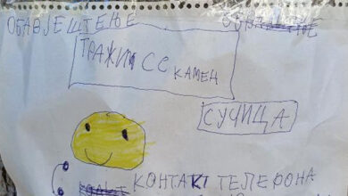 Osvanuo neobičan oglas u Boriku: Nesvakidašnja dječija potraga za kamenom