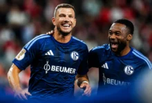 Da li je uloga Edina Džeke na klupi: Oprečni stavovi u Schalkeu