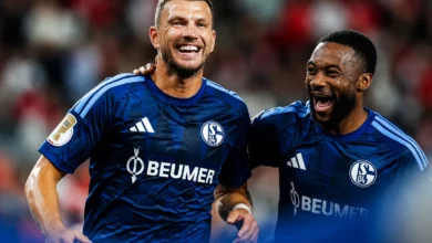 Da li je uloga Edina Džeke na klupi: Oprečni stavovi u Schalkeu