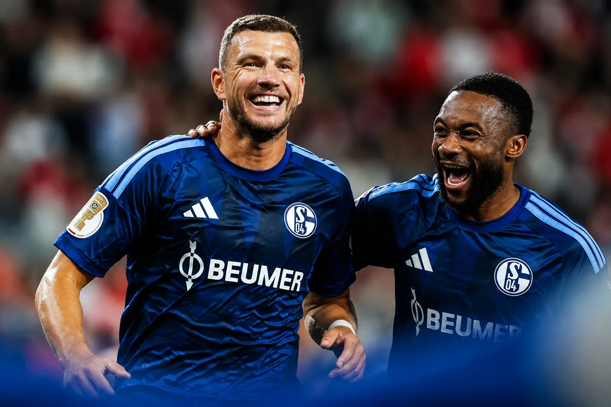Da li je uloga Edina Džeke na klupi: Oprečni stavovi u Schalkeu