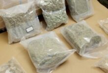 Pronađeno 50 kilograma hašiša: Državljanin BiH osuđen na zatvorsku kaznu u Danskoj