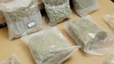 Pronađeno 50 kilograma hašiša: Državljanin BiH osuđen na zatvorsku kaznu u Danskoj