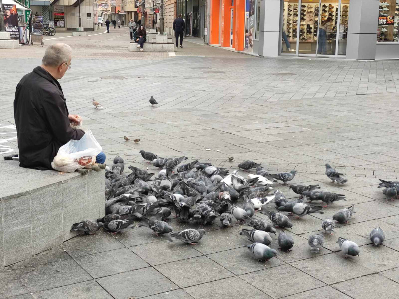 Lijep prizor u centru: Banjalučanin svakodnevno hrani golubove na Trgu Krajine