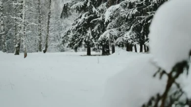Stiže manje snijega nego obično u Evropu i BiH