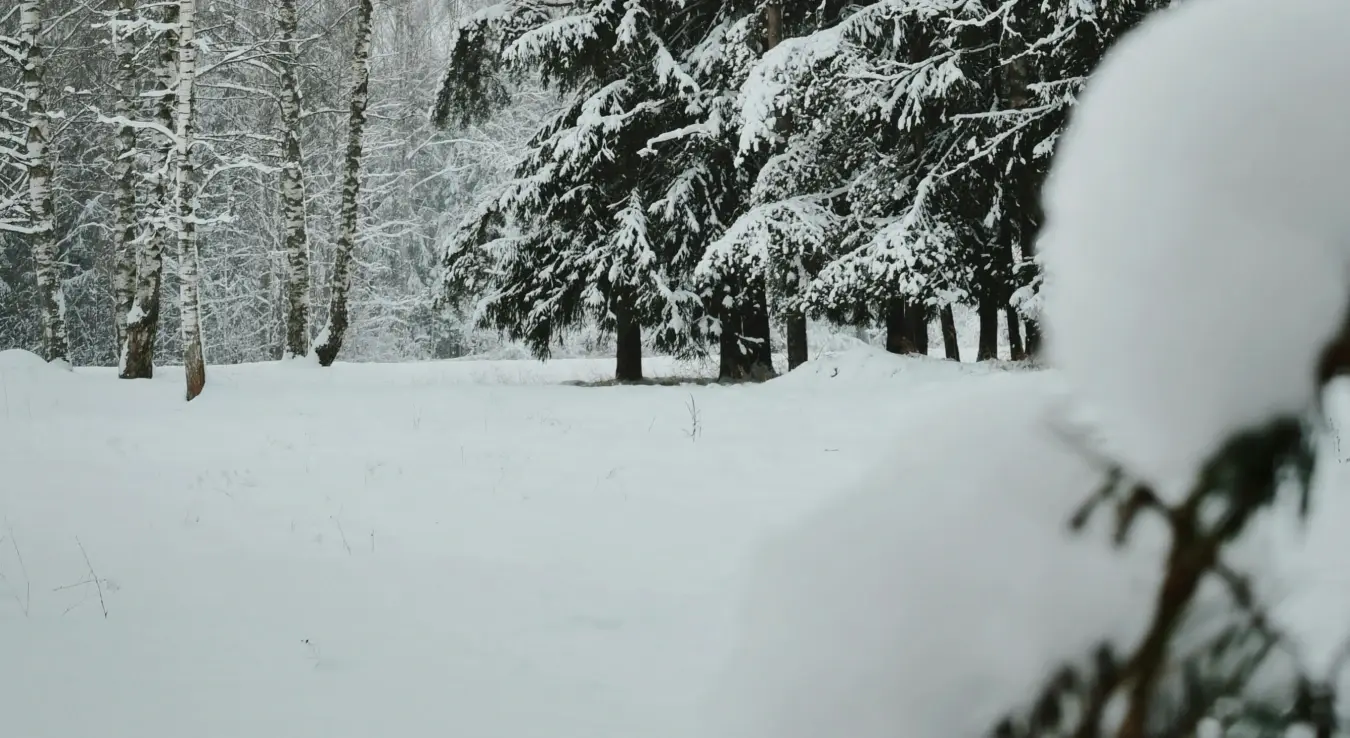 Stiže manje snijega nego obično u Evropu i BiH