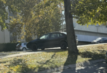 Kolone na Rebrovcu natjerale vozača da krene preko zelene površine