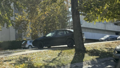Kolone na Rebrovcu natjerale vozača da krene preko zelene površine