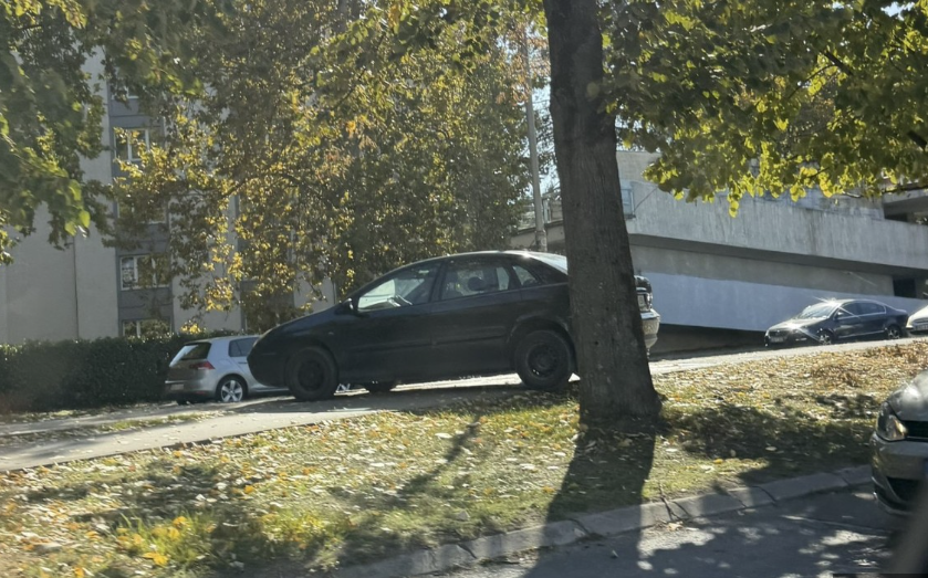 Kolone na Rebrovcu natjerale vozača da krene preko zelene površine
