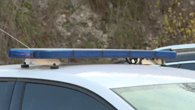 Brutalan napad na Vlašiću: Muškarca pretukli štapovima zbog psa