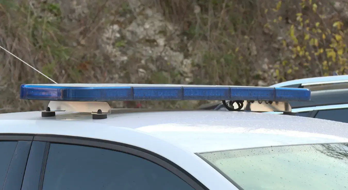 Brutalan napad na Vlašiću: Muškarca pretukli štapovima zbog psa