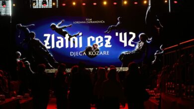 Lordan Zafranović razočaran: Festival u Sloveniji odbacio ostvarenje o Jasenovcu