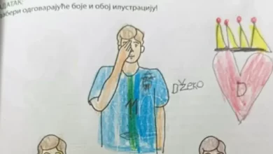 Dječak iz Banjaluke i crtež Edina Džeke: Porodica pod pritiskom nakon milionskih pregleda