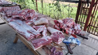 Kako da domaća slanina bude savršena i bez greške u sušenju