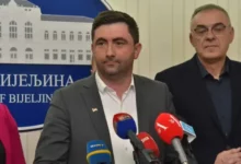 Previranje u SDS-u: Petrović i Miličević na meti stranačkih čistki