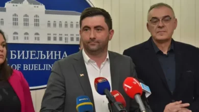Previranje u SDS-u: Petrović i Miličević na meti stranačkih čistki