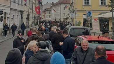 Glasanje u inostranstvu uz ogromne gužve: Veliki odziv birača iz Srbije